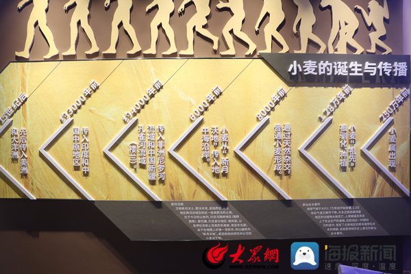 Kaiyun 开云体育品质滨州｜以三个“全国第一”领军小麦精深加工 中裕食品有限公司打造粮食产业高质量发展的“中裕模式”(图3)