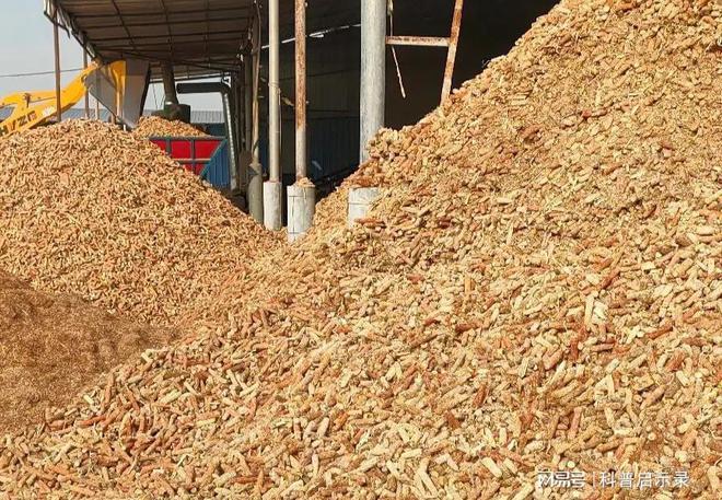 只要不怕脏一月能挣上三五万这3个商开云 开云体育官网机很挣钱在农村干正好(图2)