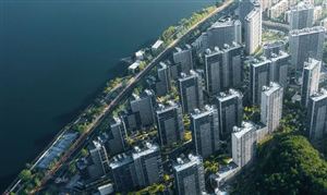 开云 开云体育平台2023大米加工行业市场发展现状调研分析(图7)