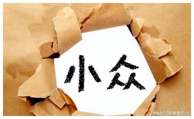 开云体育 开云官网小众加工行业揭秘：3个月100万暴利你也能成功！(图4)