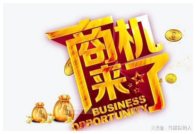 开云体育 开云官网小众加工行业揭秘：3个月100万暴利你也能成功！(图5)