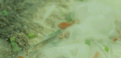 开云APP 开云官网入口每一顿热食热饮都是冬天的幸福砝码 身心灵贴冬膘指南(图7)