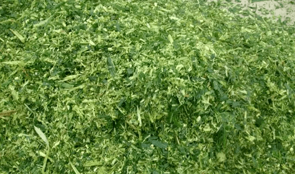 开云体育 开云平台创业参考：这种小型加工厂不大但市场很大夫妻2人就能干(图3)