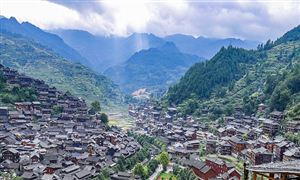 大米行业分析开云体育 Kaiyun.com 官网入口 大米加工行业现状及前景分析报告(图6)