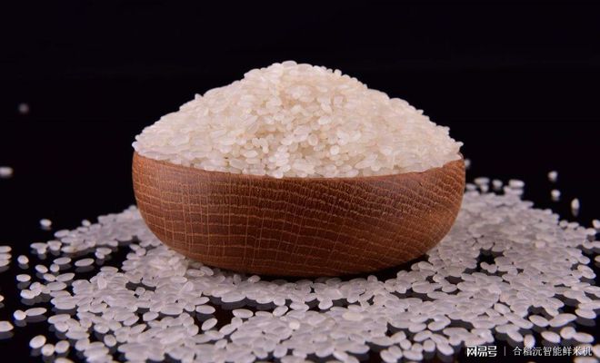 Kaiyun 开云体育为何《大米》国家新标准突出适度加工过去粮食浪费到你不敢想象(图3)