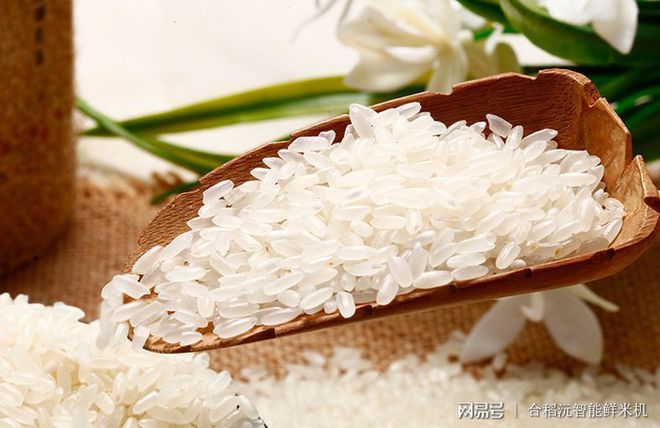 Kaiyun 开云体育为何《大米》国家新标准突出适度加工过去粮食浪费到你不敢想象(图4)