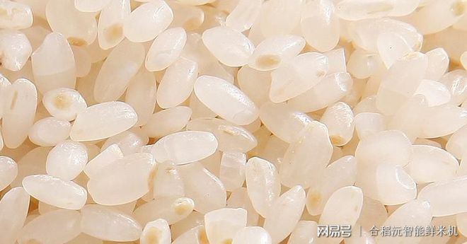Kaiyun 开云体育为何《大米》国家新标准突出适度加工过去粮食浪费到你不敢想象(图5)