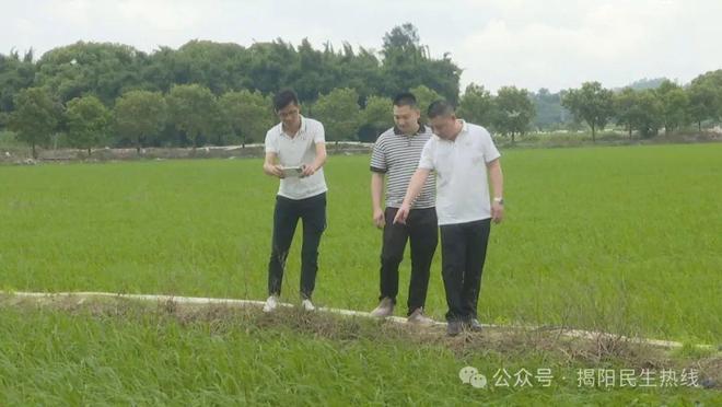 开云体育 开云官网【乡村振兴】20多年来他默默坚守粮食发展事业第一线(图2)