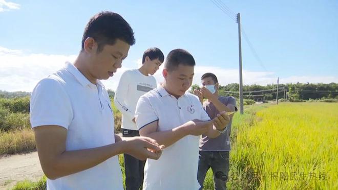 开云体育 开云官网【乡村振兴】20多年来他默默坚守粮食发展事业第一线(图4)