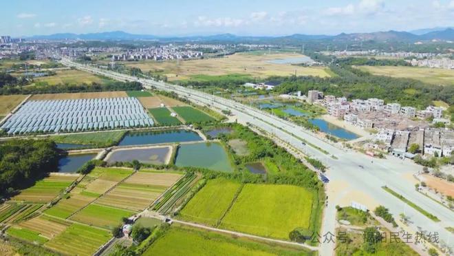 开云体育 开云官网【乡村振兴】20多年来他默默坚守粮食发展事业第一线(图3)